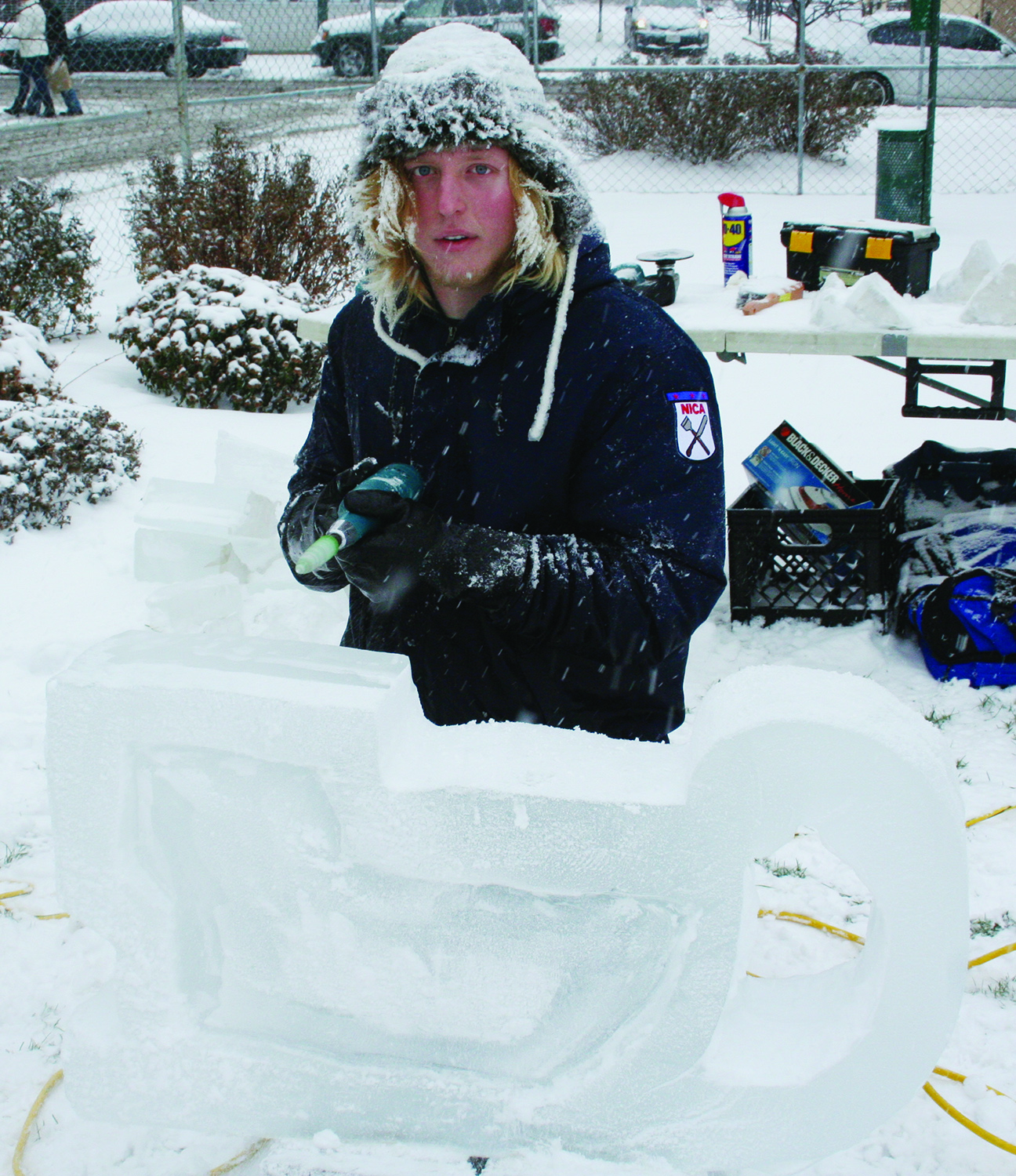 Ice Sculpture