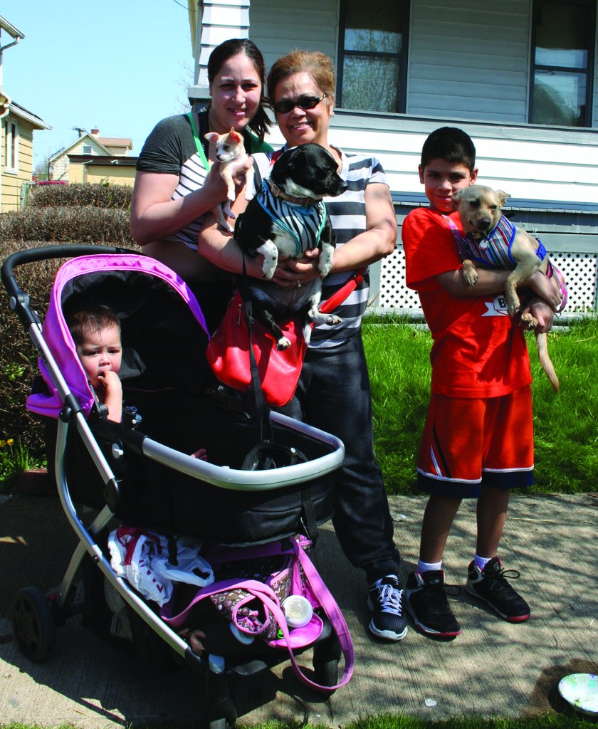 PHOTO BY CHUCK HOVEN Sunday, May 3, 2015; Clark-Fulton Dog & Cat Wellness Day at the Boys and Girls Club: Nearly 800 pet owners line up on Trowbridge Avenue while waiting to receive free pet exams, shots, ID tags, microchips and other benefits for their pets. Among those waiting in line are: Edwin Borrero Jr. with Buddy (age 3); Nancy Suarez, with Zoey, age 2; and Francesca Cosme with nine week old Nemo. Angeliana Morles, age 1, came along for the ride. 