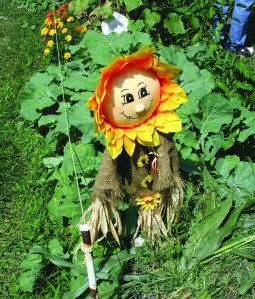 PHOTO BY DEBBIE SADLON Saturday, August 8, 2015; 20th Anniversary Celebration, Bigelow Garden Site, 3164 W. 82nd Street: A sunflower scarecrow brightens Jan Lascko’s garden. 